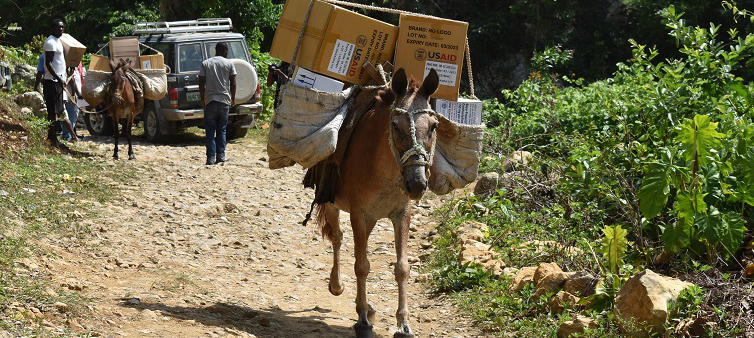 Donkeys carry USAID-labeled boxes.